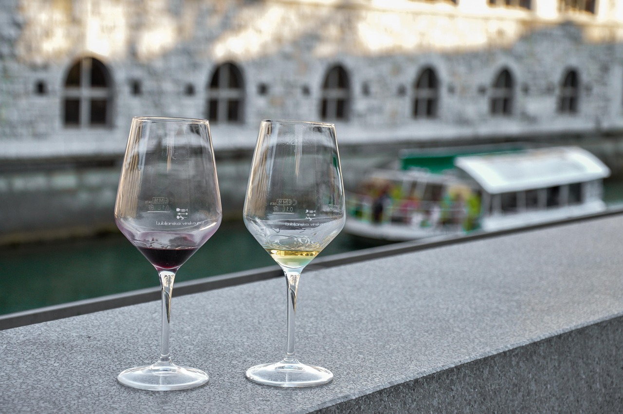 Dégustation de Pineau des Charentes en verres à dégustation, Domaine de la Mothe